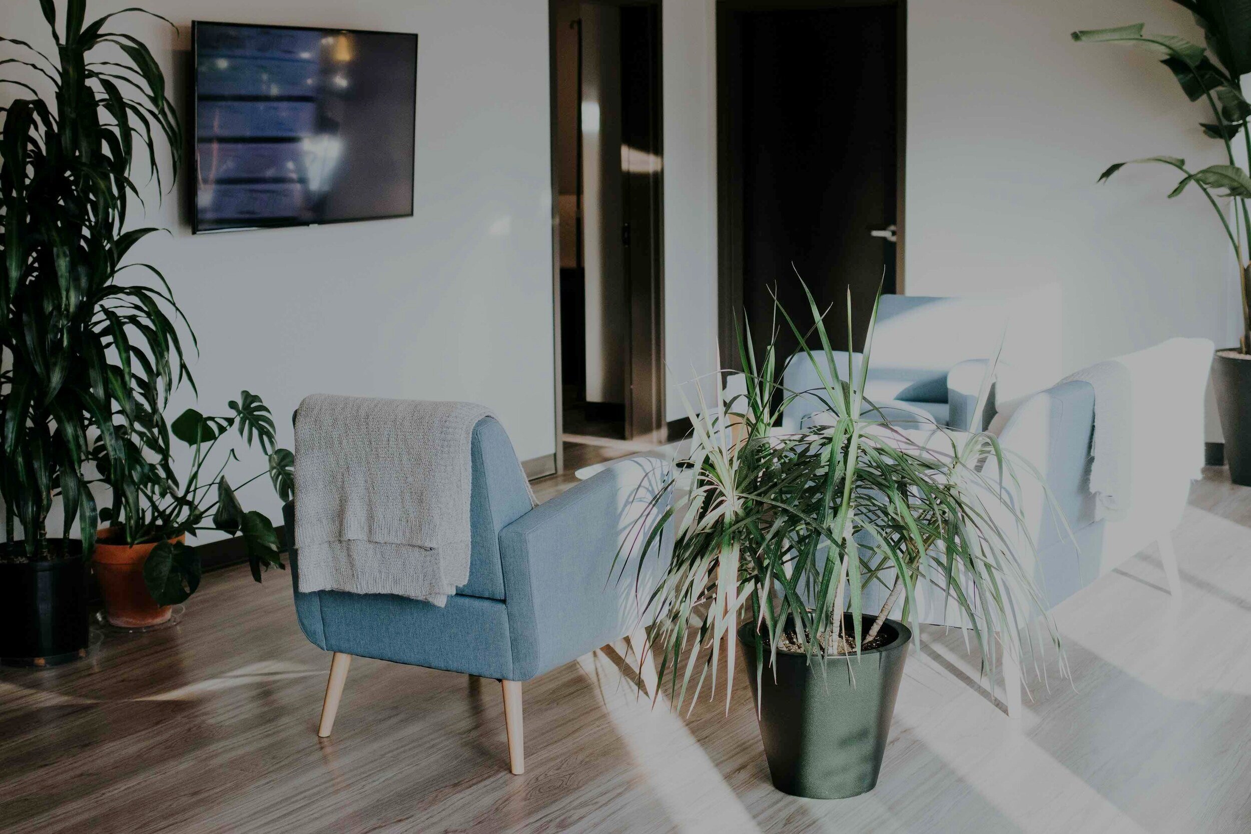 Cozy waiting room with modern furniture and plants.