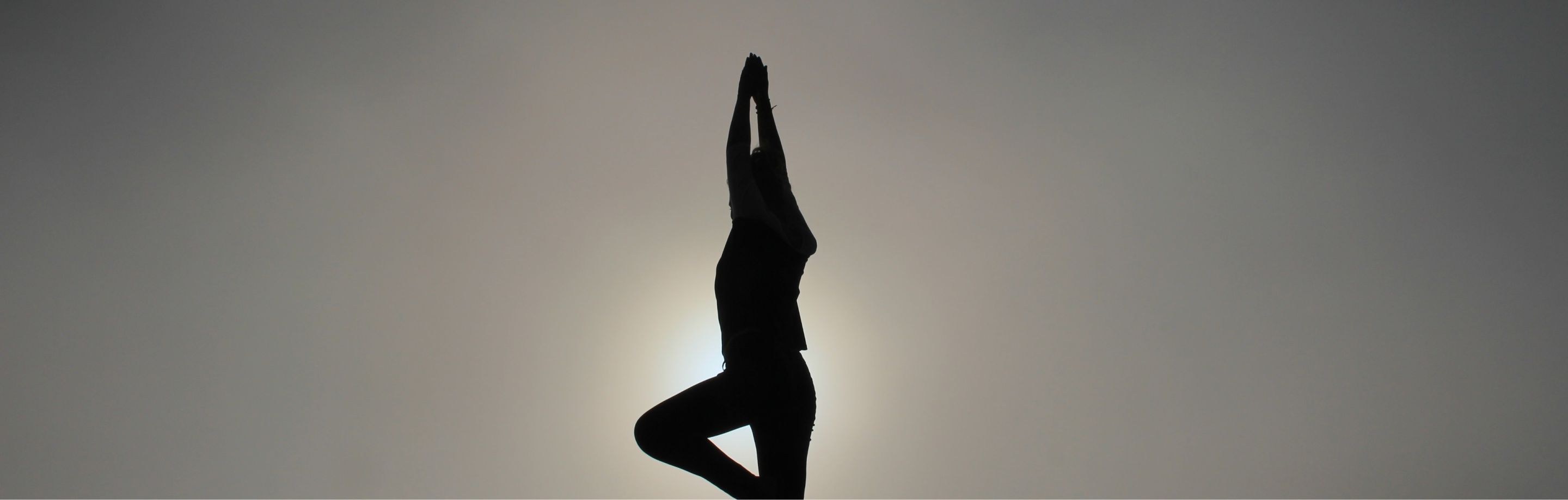 Silhouetted figure achieving balance, representing Biofuse's focus on holistic health and well-being.
