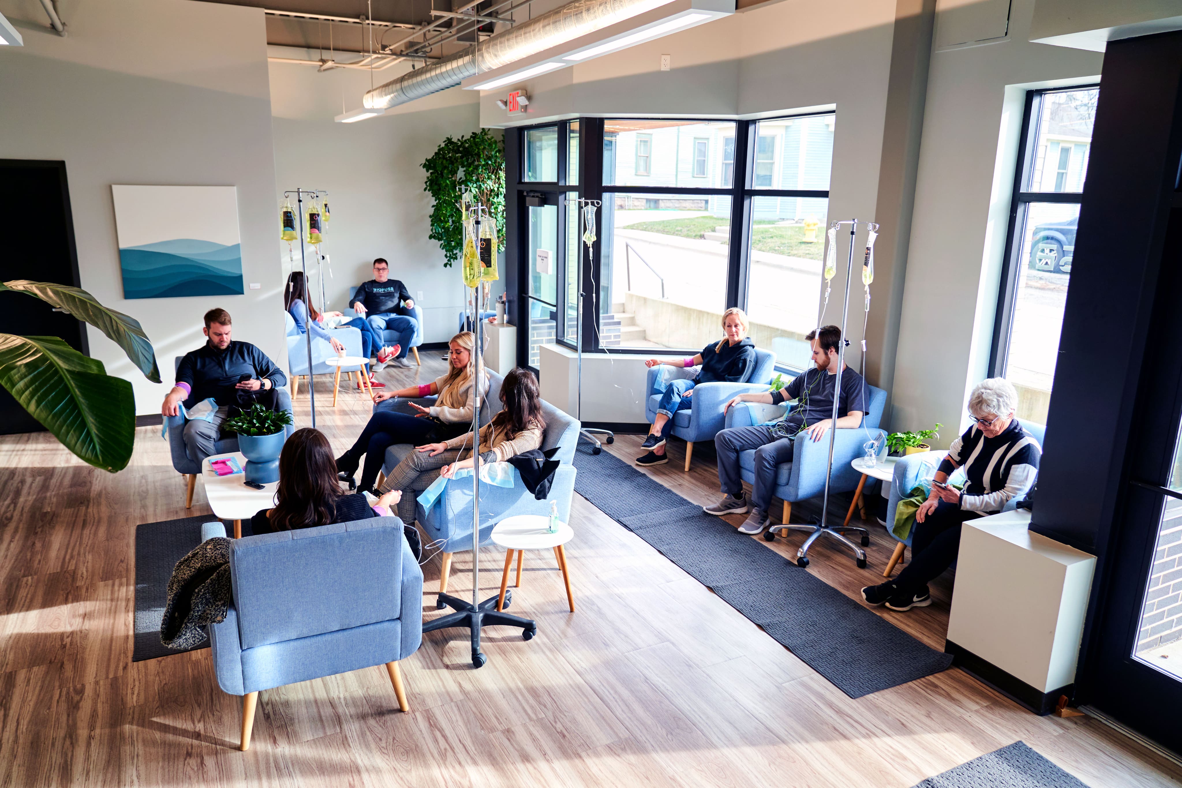 Modern clinic waiting room with blue armchair, wooden floors, and various indoor plants